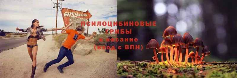 Галлюциногенные грибы MAGIC MUSHROOMS  Лабинск 